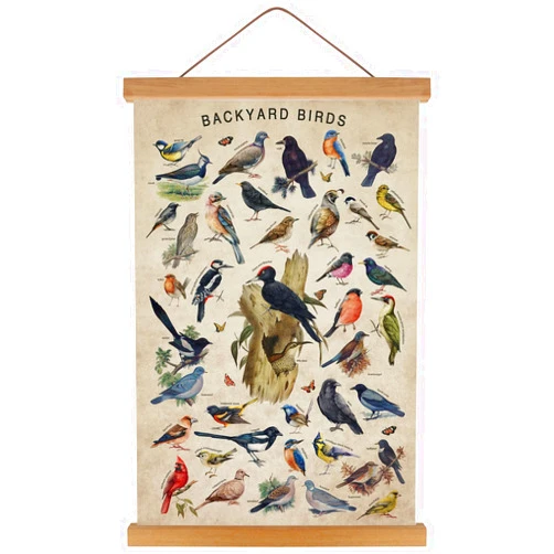 KAIRNE Vintage Backyard Birds Canvas Wall Art Set,Bird Identification Poster Chart,Hummingbird Decor,Birds Art Prints(35x56cm)landscape Wall Decor,Ideal Nature-Inspired Home Decor for Bird Enthusiasts