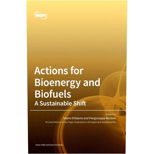 Idiano D'Adamo,Piergiuseppe Morone Actions for Bioenergy and Biofuels: A Sustainable Shift