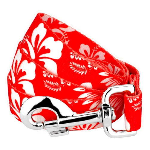 Country Brook Design Country Brook Petz - Red Hawaiian Dog Leash - Summer Breeze Collection Featuring Sunny Designs (1 Inch, 6 Foot)