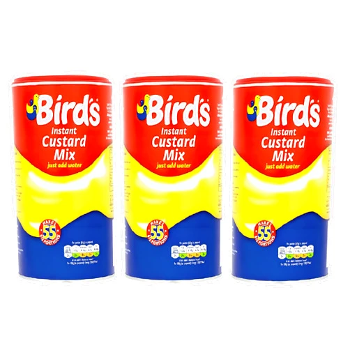 Bird's Instant Custard Mix 605g (Pack of 3)
