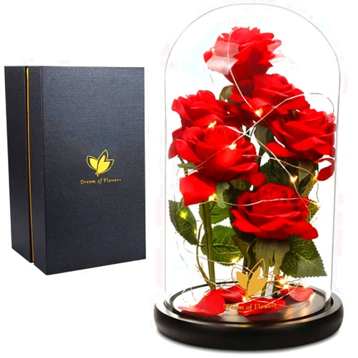 Dream of Flowers Valentines Day Flowers Roses Gifts for Her,Beauty and The Beast Rose with LED Light,Rose in Glass Dome Romantic Rose Gifts for Wife Girlfriend Mom Best Friend,Red Rose Gifts for Her