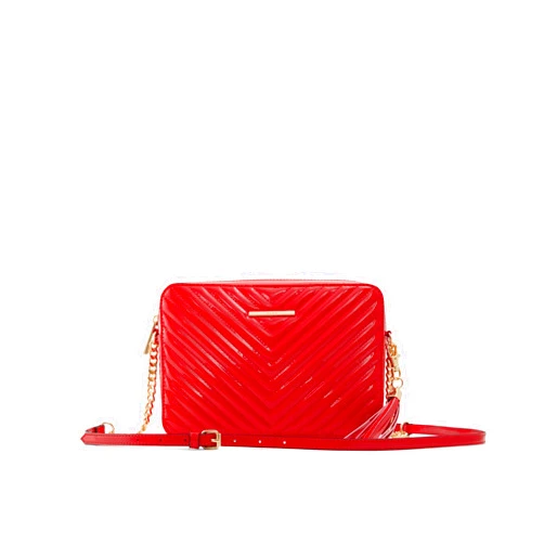 ALDO Women's Andressera Crossbody Bag