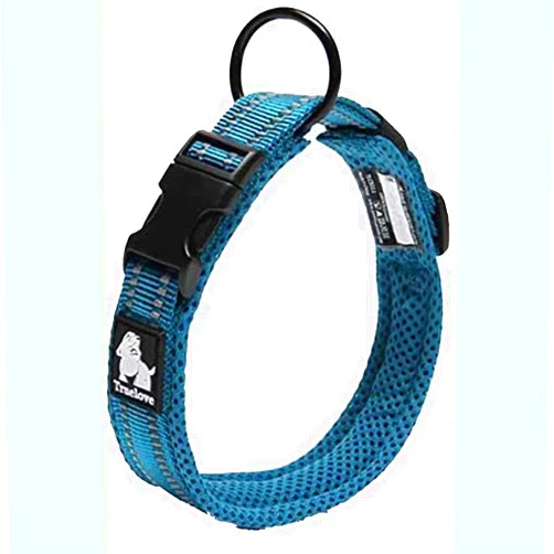 TRUE LOVE Truelove Dog Collar Reflective Premium Duraflex Buckle,High Grade Nylon Webbing No Choke Basic Collars TLC5011(Blue,L)