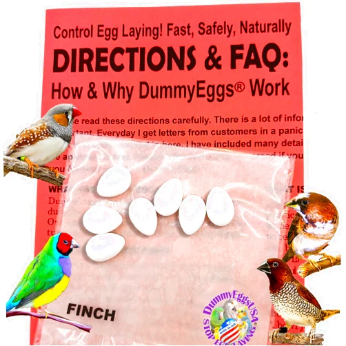 DummyEggs Finch Realistic Plastic Bird Eggs to Control Egg Laying. 7 Solid Non-Toxic USA Brand