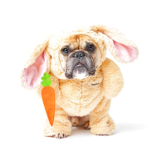 Pandaloon Dog Halloween Costume - As Seen on Shark Tank - Patented - Funny Costume with Arms for Small and Medium Dogs and Cats (Bunny, Size 5(24-28 in Height at TOP of Head,Girth<30 in))