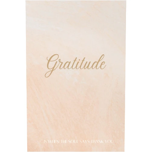 By Ina Ella (Author) Gratitude Journal: Gratitude is when the soul says thank you
