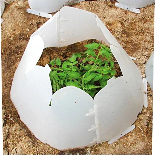 Grow It Now! - Plant Protectors/Frost Guards with Closable Vent, Pack of 3 (Anchor pins not included) (Small)