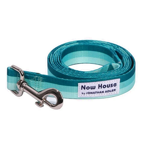 Now House by Jonathan Adler Now House for Pets by Jonathan Adler Now House Green Chroma Standard Lead 6' | Stylish and Functional Way to Keep Your Dog Looking Great | Cute and Adorable Dog Accessories for Pets, Chromatic
