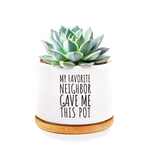 Loovelo My Favorite Neighbor Gave Me This Pot Neighbor Gifts Ceramic Succulent Plant Pots with Bamboo Tray Round Housewarming Gifts Farewell Moving Out Gifts Plant Lover 3.5 Inch White