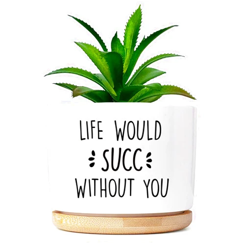 Msyueos Funny Plant Pots, Life Would Suc Pot White Succulent Pots Planter Without Plant, Indoor Planter with Tray for Women, Friends, Coworker Housewarming Gift Not Including Plants