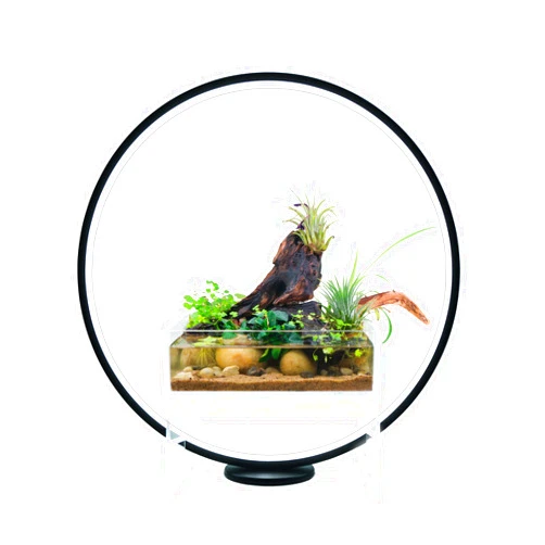 HIRO AQUATICS Circle Full Spectrum Plant Grow Light w/Display Stand, for Terrarium, Nano Fish Aquarium, Bonsai, Potted Plants. Gift for Mother's Day, Gift for Plant Lover (11.8 in/30cm Diameter)