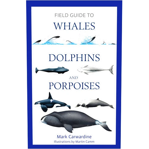 Mark Carwardine Field Guide to Whales, Dolphins and Porpoises (Bloomsbury Naturalist)