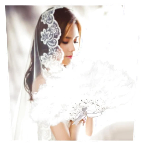 TIANSDL Wedding Feather Fan Bride Non-Folding Hand-held Fans Dance Party Supplies Photo Shooting Props Rhinestones Rose Flowers Fan