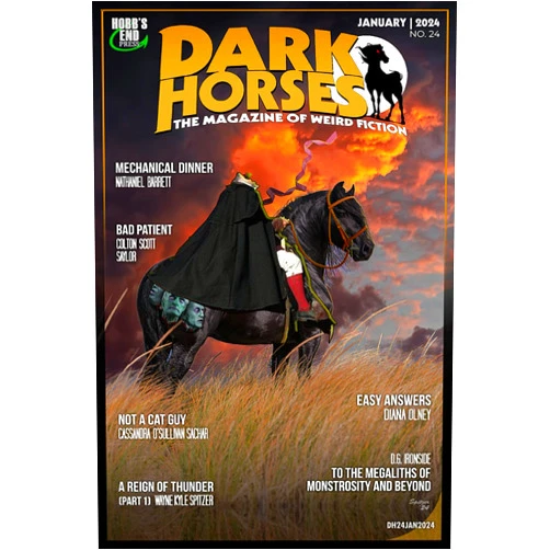 By Wayne Kyle Spitzer (Author), D.G. Ironside (Author), Diana Olney (Author), Colton Scott Saylor (Author), Jhon Sánchez (Author), Cassandra O’Sullivan Sachar (Author), Will Lennon (Author), Eleanor Mourante (Author), Marco Etheridge (Author), Nathaniel Barrett (Author) & 6 more Dark Horses: The Magazine of Weird Fiction No. 24: January 2024 (Dark Horses Magazine)