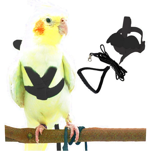 Dnoifne Pet Parrot Bird Harness and Leash, Adjustable Training Design Anti-Bite, Bird Nylon Rope with Cute Wing for Parrots, Suitable for Scarlet, Keck, Mini Macaw and Same Size Birds (Black)