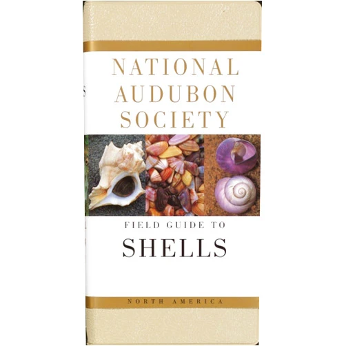 National Audubon Society Field Guide to North American Seashells