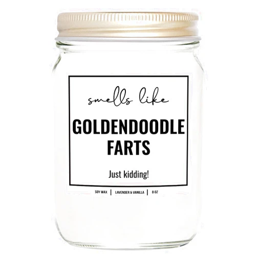 YouNique Designs Smells Like Goldendoodle Farts Soy Candle 8oz - Dog Farts Candle Golden Doodle Gifts for Golden Doodle Lovers, Goldendoodle Owners - Golden Doodle Mom Gifts (Lavender & Vanilla)