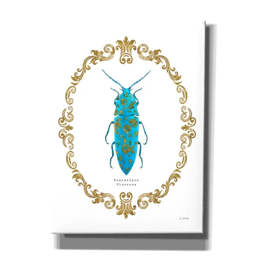 Epic Graffiti 'Adorning Coleoptera VIII' by James Wiens, Canvas Wall Art, 12