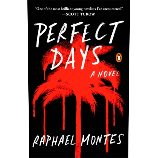 Raphael Montes Perfect Days: A Novel