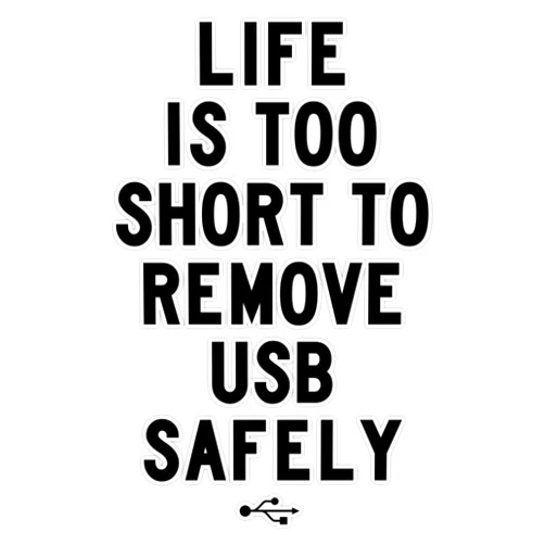 Leyland Designs Life is Too Short to Safely Remove USB | Fresh Bumper Sticker Window Water Bottle Decal 5