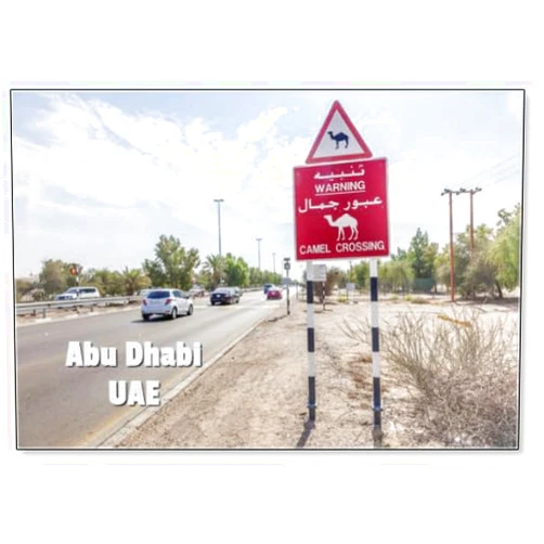 Photomagnet Camel Crossing Sign in Abu Dhabi, UAE, Fridge Magnet