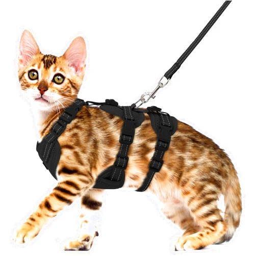 Pawfun Fully Escape Proof Cat Harness and Leash Set for Walking, Adjustable Soft Kitten Vest with Reflective Strip for Small Medium Large Adult Cats, Breathable Kitty Harness,Black M