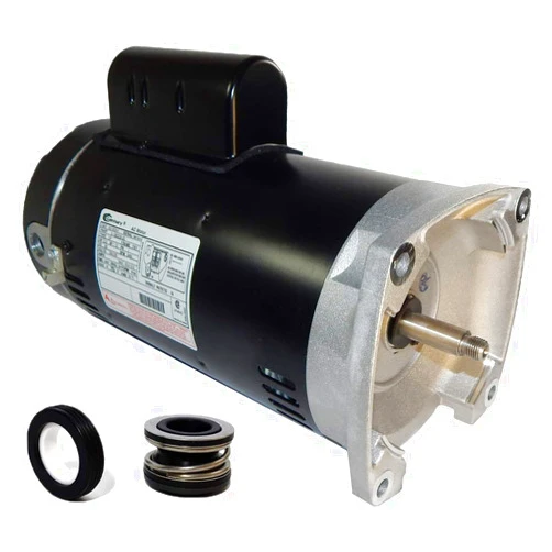 Puri Tech Swimming Pool Pump Motor and Seal Replacement Kit for 2.5hp Century USQ1252 Motor and PS-100 Seal
