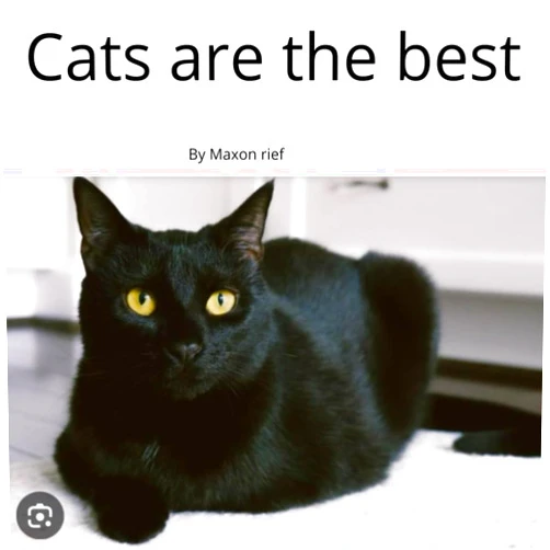 By Maxon Rief (Author) Cats are the best