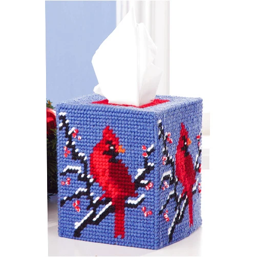 Mary Maxim Plastic Canvas Tissue Box Kit 5