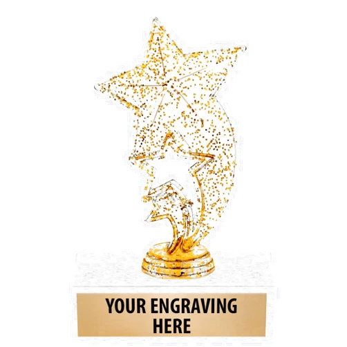 Crown Awards 6