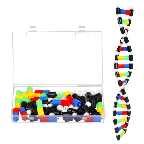 iplusmile DNA Model Kit, Double Helix Structure DNA Models, Biological Science Popularization Teaching Tool for Students, Early Education Toys for DNA Assembling Display