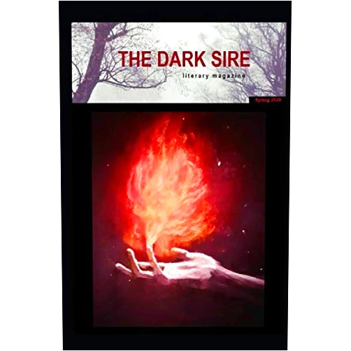 By Bre Stephens (Author), David Crerand (Author), Maureen Mancini Amaturo (Author), Ian Richardson (Author), Gregory J. Glanz (Author), Andrea Goyan (Author), Andrew Oram (Author), Jessica Van de Kemp (Author), Gregory E. Lucas (Author), S.M. Cook (Author) & 6 more The Dark Sire: Issue 3 (Spring 2020)