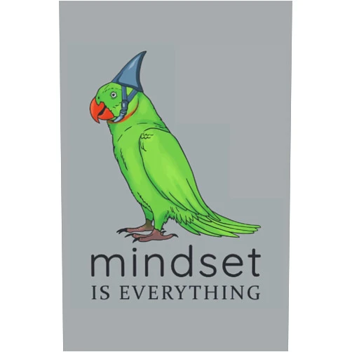 Suche Organiqed Lustiger Papagei mit Aluhut Ironie Satire Verschwörung Mindset Meinung Spruch: NOTIZBUCH - Lustige Redewendung Weißheiten Geschenk, Geschenkidee - A5 ... Geburtstag, Lustig, Süß (German Edition)