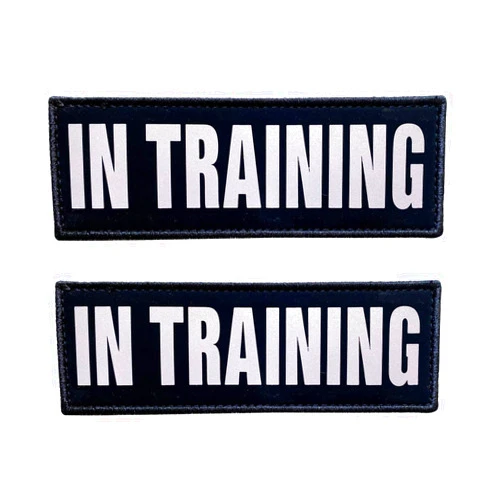 JUJUPUPS Black Reflective Dog Patches 2 Pack Service Dog ，in Training， DO NOT PET, Tags with Hook and Loop Patches for Vests and Harnesses (in TRAINING, 4x1 inch)