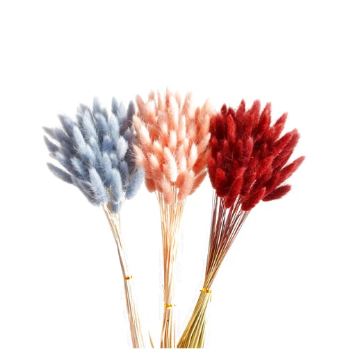 HSTEY 120pcs 3 Colors Bunny Tails Dried Flowers Plant Pampas Grass 17