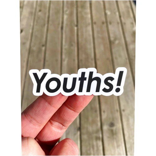 Crafts4u Youths Sticker, Laptop Sticker, Water Bottle Sticker, Phone Sticker, Window Sticker, Schmidt Sticker, Funny Sticker, TV Show Sticker
