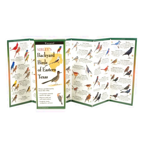 David Sibley Sibley's Backyard Birds of Eastern Texas: Folding Guide (Foldingguides)