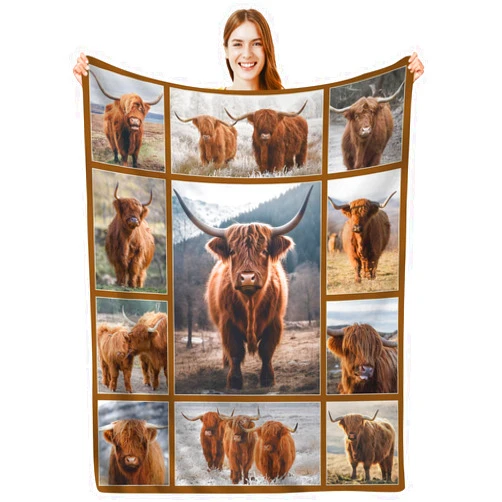 DOINBEE Highland Cow Blanket Brown Highland Cow Cattle Farm Animal Throw Blankets Cow Gifts for Adults Kids, Funny Soft Fuzzy Flannel Fleece Blankets and Throws for Living Room Bedroom 50