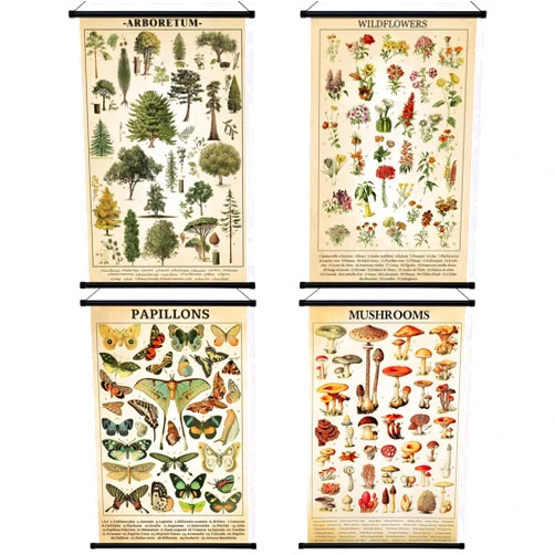 Lewtemi 4 Pcs Vintage Mushroom Wildflowers Poster Fungus Butterfly Tree Wall Hanging Poster Prints Illustrative Reference Chart Poster for Classroom Living Room Decor, 15.7 x 23.6 Inch(Rustic, Vivid)