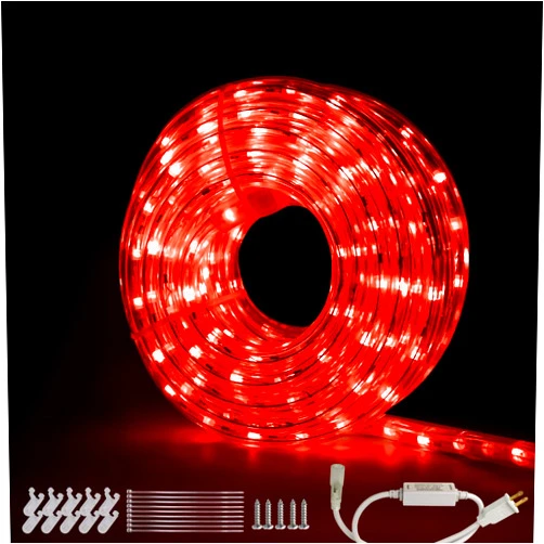 Beatineon 33FT Rope Lights Outdoor with Remote,Cuttable Connectable, 300LEDs Strip Lights with Adjustable Brightness Waterproof with Plug for Patio, Christmas Decoration (Red)