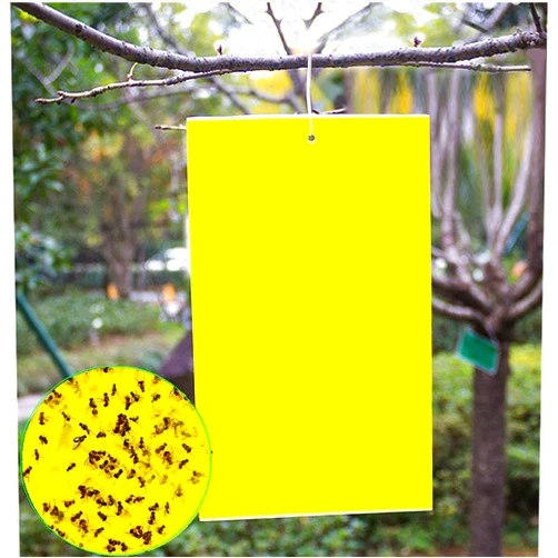 HaferTech 20 Count Dual Yellow Sticky Traps 8 X 6 Inch Set for Flying Plant Insect Like Fungus Gnats, Aphids, Whiteflies, Leafminers -Included 20pcs Twist Ties
