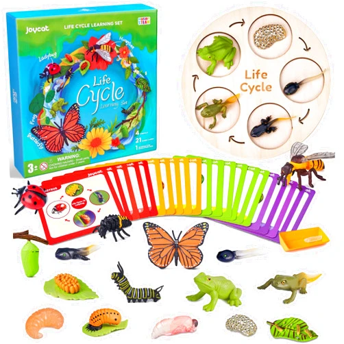 JoyCat Life Cycle Learning Education Toys, Insect Caterpillar to Butterfly kit, Ladybug, Bee, Tadpole to Frog Kit Life Cycle Toys for Kids, Preschool Learning Activities for Age 3 4 5 6 7 8