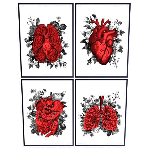 YELLOWBIRD ART & DESIGN Vintage Shabby Chic Floral Organs - Anatomical Wall Art Print Set - 8x10 Photo Posters for Medical Clinic, Doctor Office, Home Decor - Gift for Med Student, Physician, Dr, Nurse - Unframed Pictures