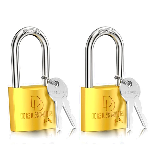DELSWIN Weatherproof Padlock with Key - Heavy Duty Gym Locker Lock with 1-9/16