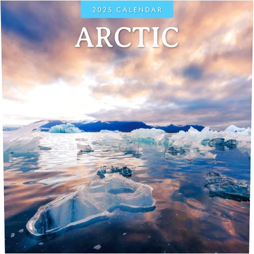 Red Robin Publishing Red Robin 2025 Arctic Monthly Wall Calendar | 12