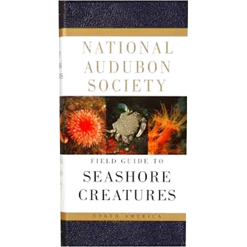 By Norman A. Meinkoth (Author) National Audubon Society Field Guide to North American Seashore Creatures (National Audubon Society Field Guides) 1990