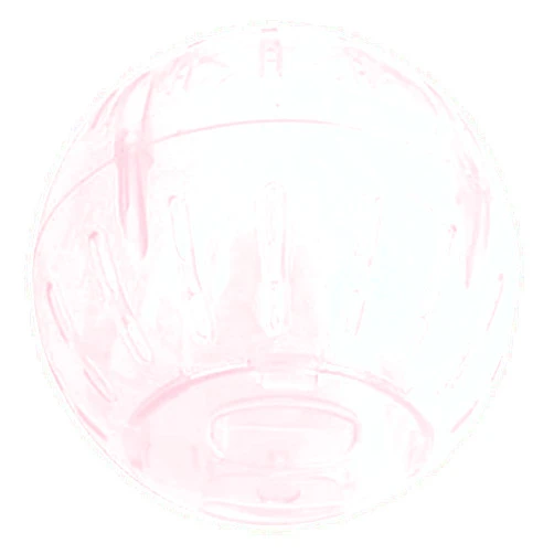 Xinyouyi Hamster Exercise Ball 3.9 Inches Silent Running Wheel for Dwarf Hamsters Baby Hedgehogs Non Toxic Spinner Hamster Spinner Wheel Saucer