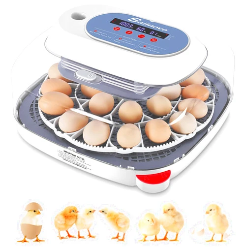 Sailnovo 24 Eggs Incubators for Chicken Eggs with 4 Modes, 360° View Incubator with Automatic Egg Turning and Temperature Control Humidity Display, Digital Incubator for Chicken Quail Duck(Blue)