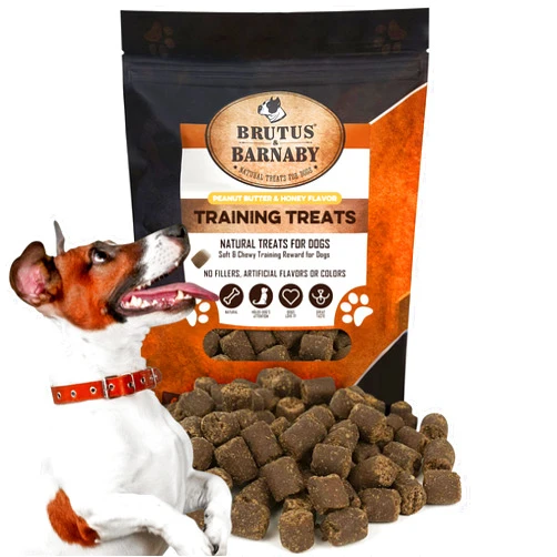 BRUTUS & BARNABY Training Treats for Dogs - Peanut Butter & Honey - All-Natural Healthy Low Calorie Vegetarian Treat - Great to Use for Rewards in Training Your Puppy Or Dog