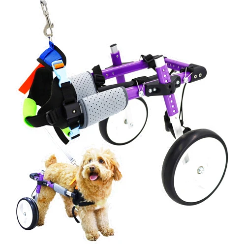 HobeyHove Adjustable Dog Wheelchair for Back Legs，Pet/Doggie Doggy Wheelchairs with Disabled Hind Legs Walking (S-B)